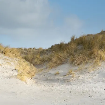 شقة Alte Schule Uelvesbuell فيستيرهيفير