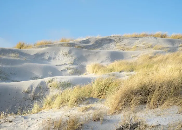 Alte Schule Uelvesbuell *